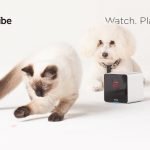 Petcube Camera: Stay connected to your pets when you are not at home