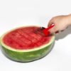 Worlds Best Watermelon Slicer